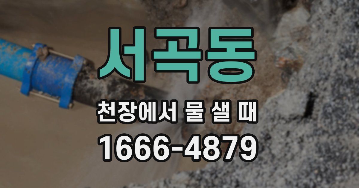 서곡동 천장에서 물 샐 때