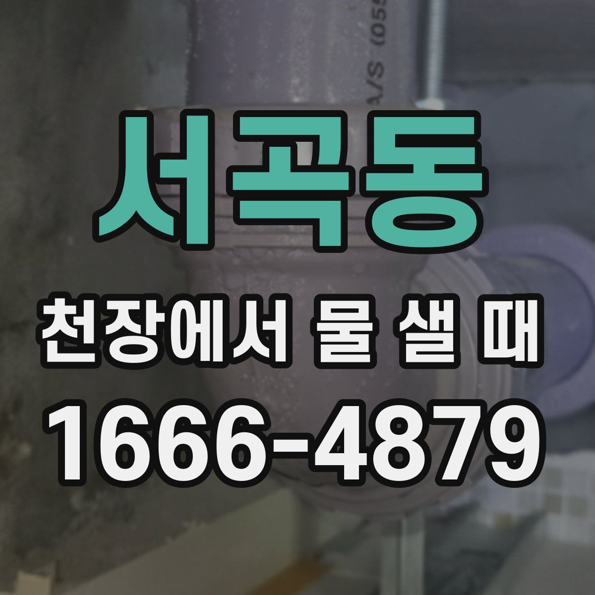 서곡동 천장에서 물 샐 때