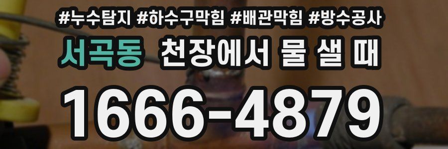 서곡동 천장에서 물 샐 때
