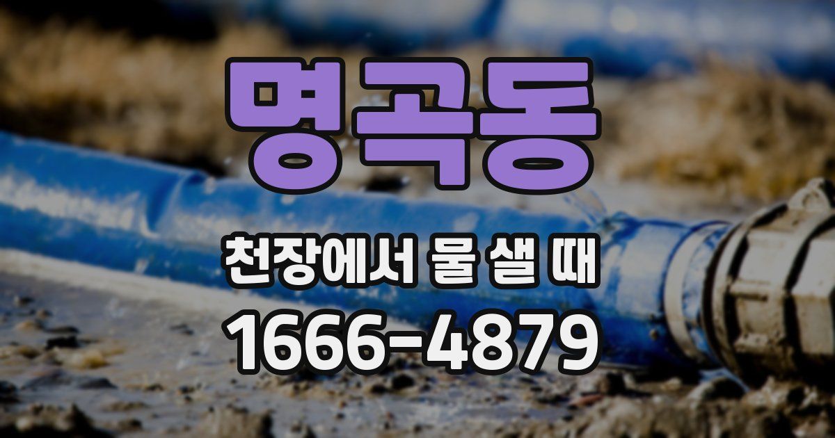 명곡동 천장에서 물 샐 때
