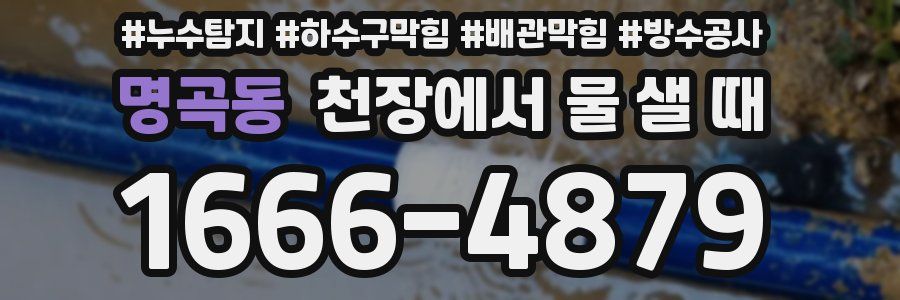 명곡동 천장에서 물 샐 때