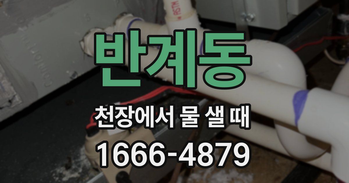 반계동 천장에서 물 샐 때