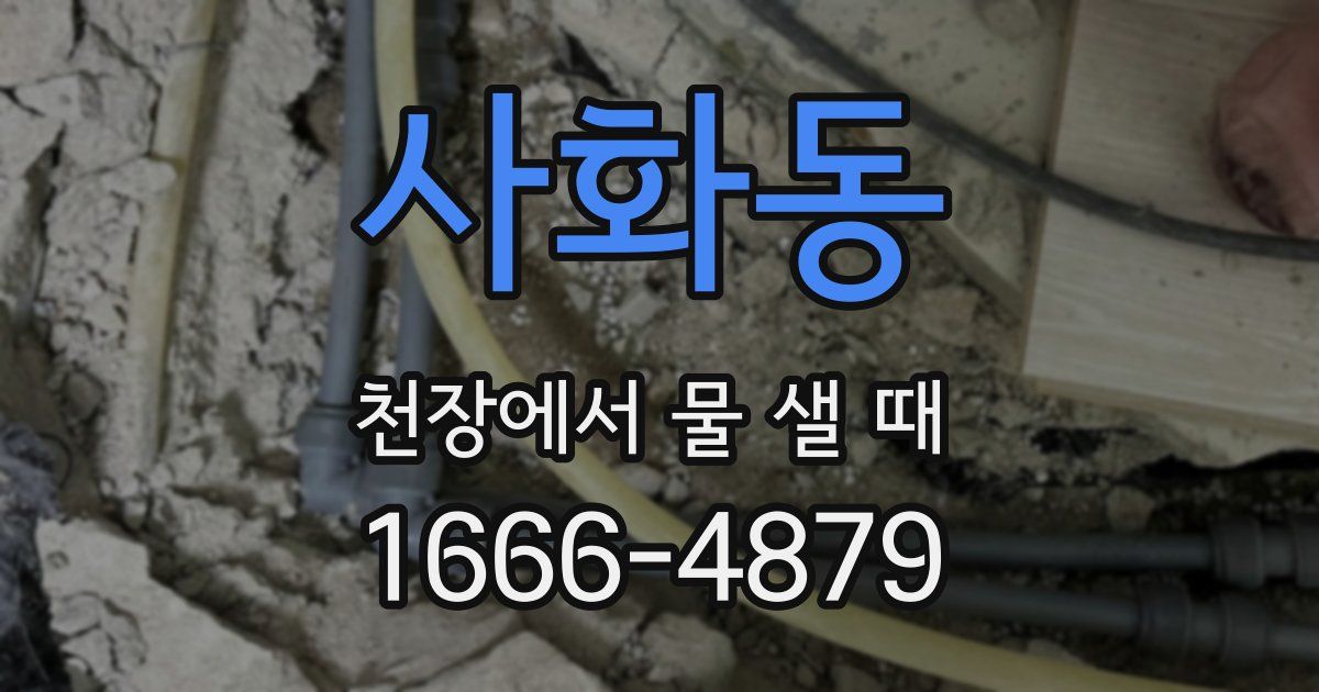 사화동 천장에서 물 샐 때