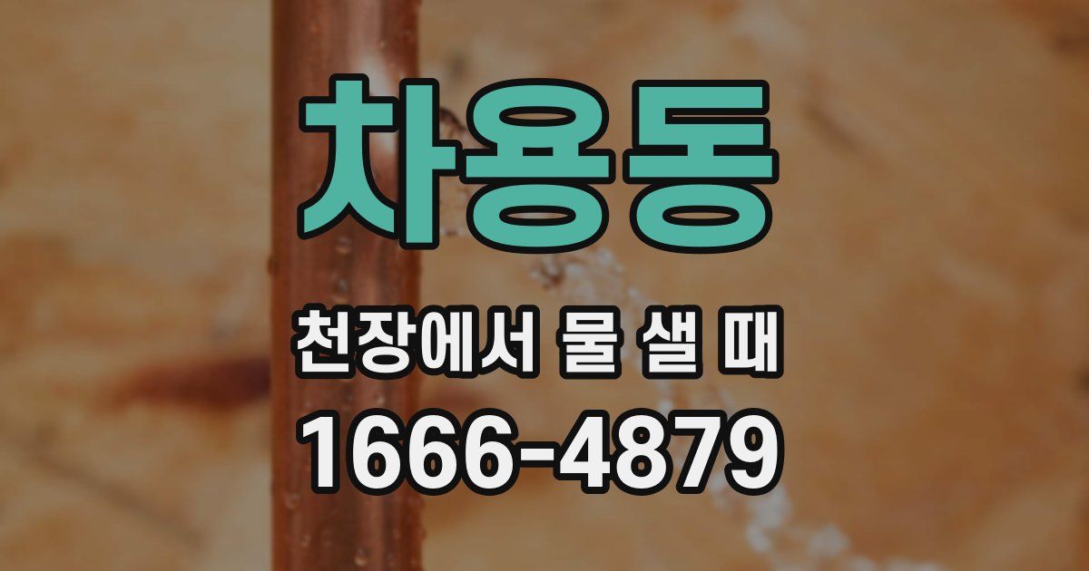 차용동 천장에서 물 샐 때