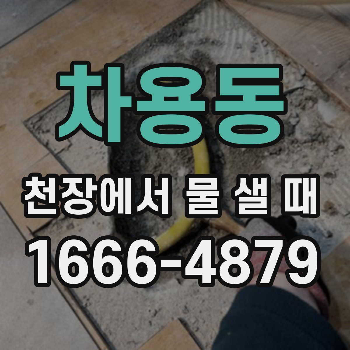 차용동 천장에서 물 샐 때