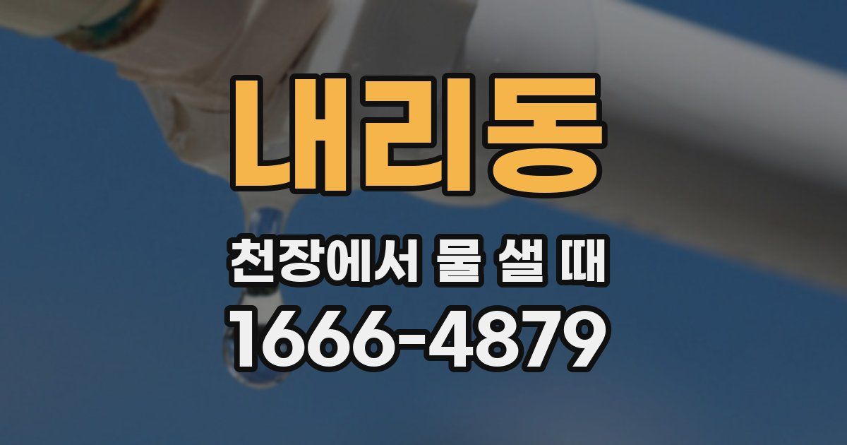 내리동 천장에서 물 샐 때