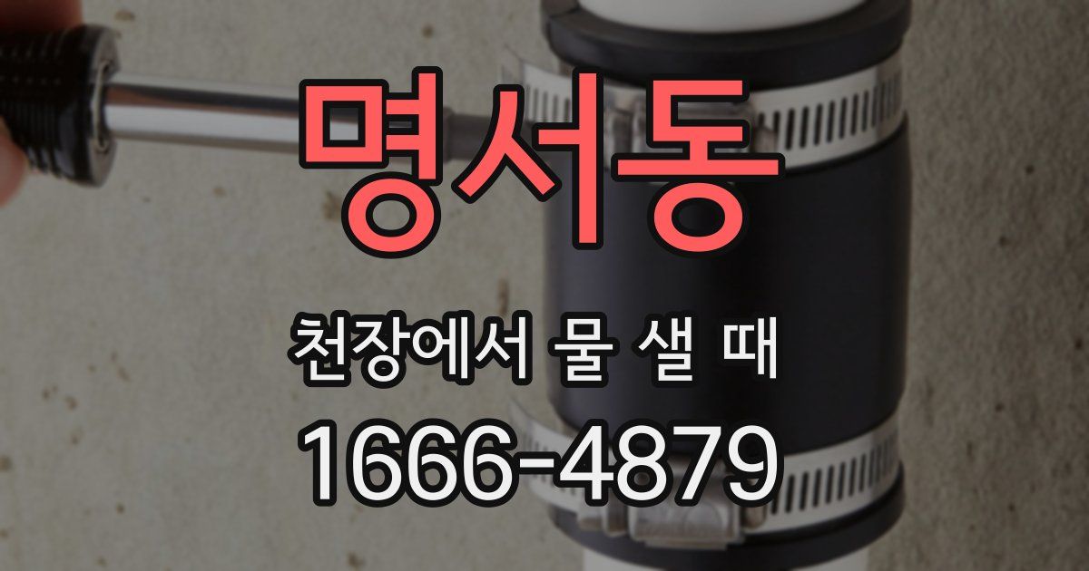 명서동 천장에서 물 샐 때