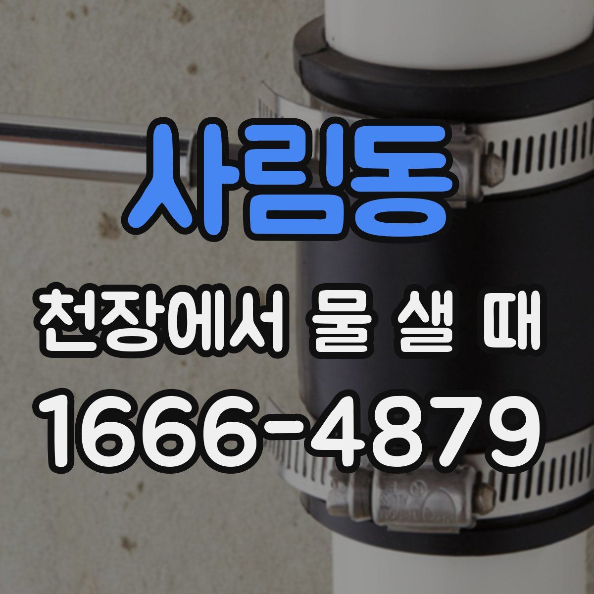 사림동 천장에서 물 샐 때