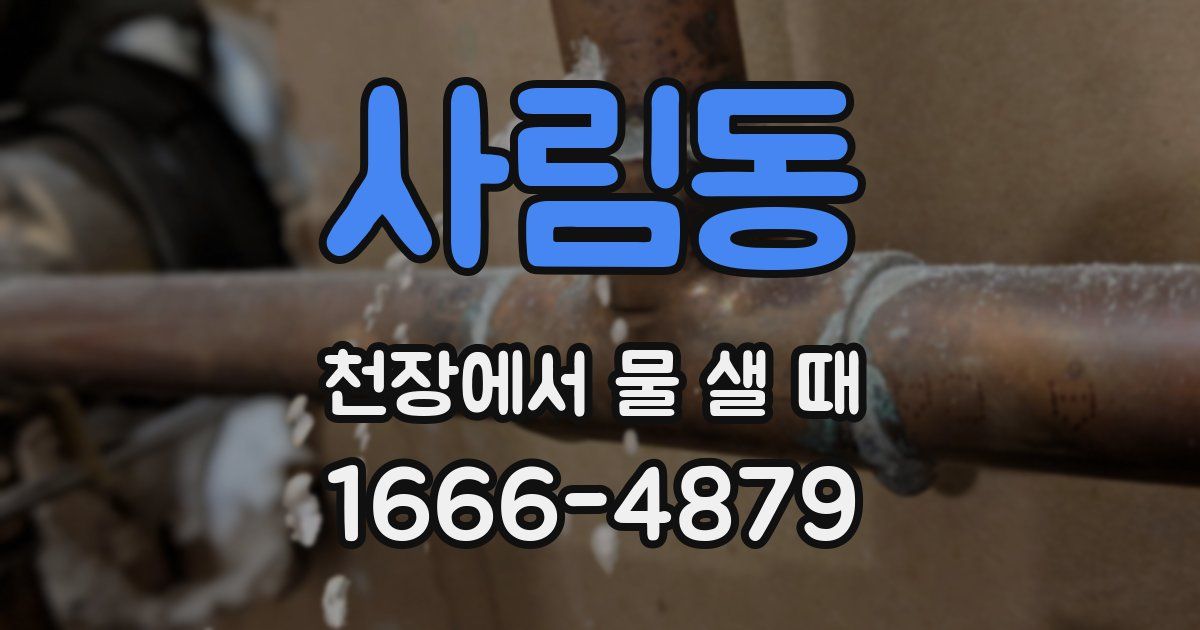 사림동 천장에서 물 샐 때
