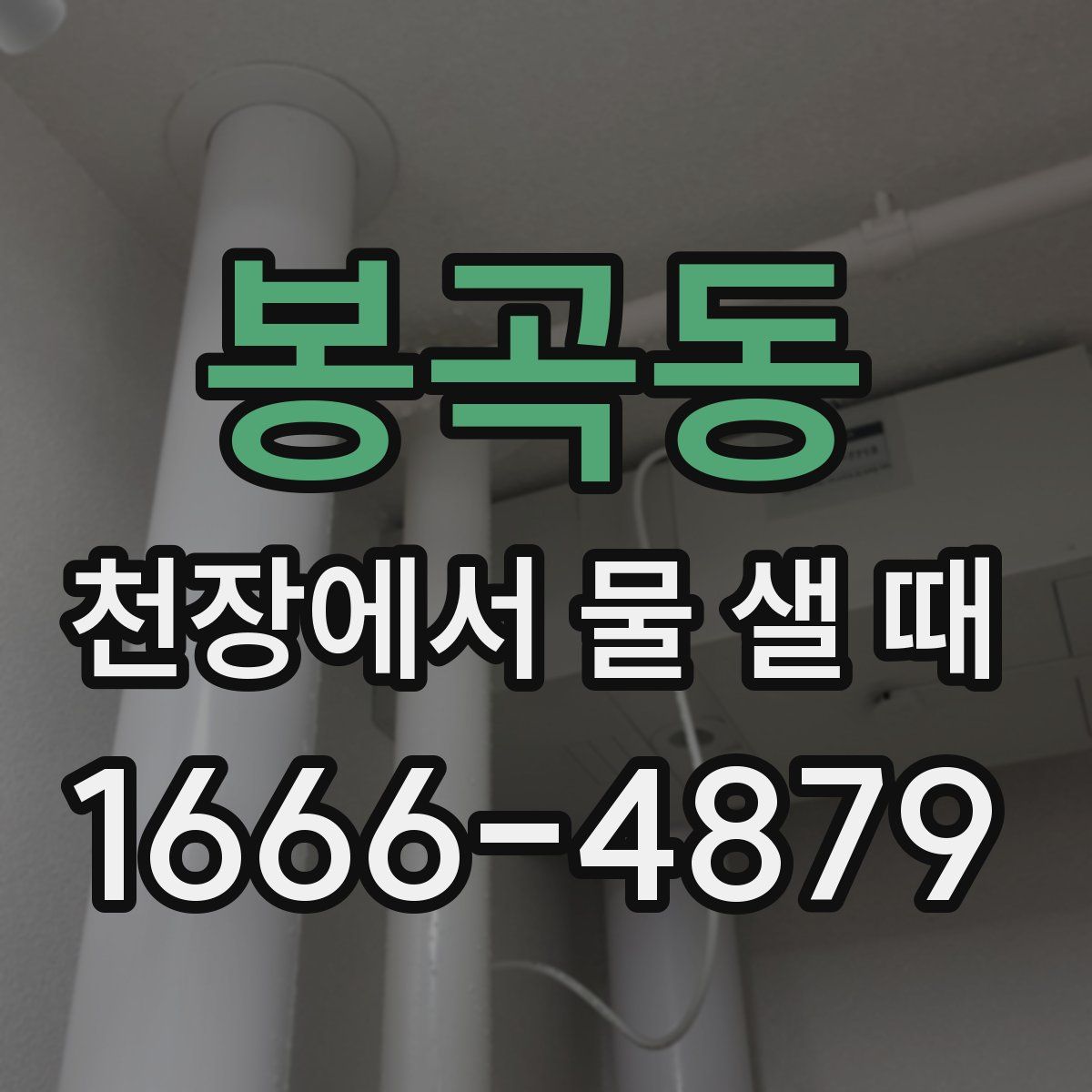 봉곡동 천장에서 물 샐 때