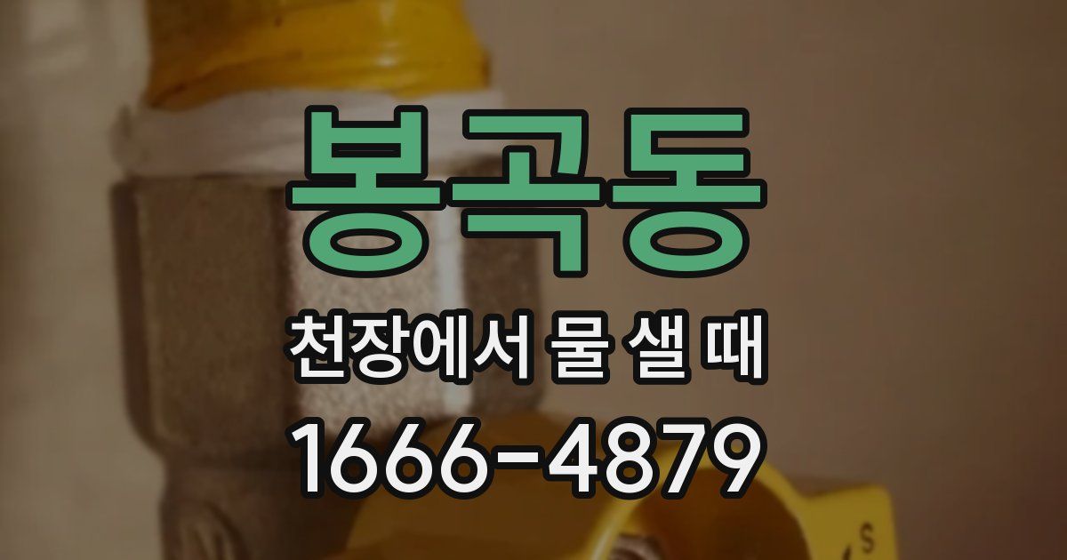 봉곡동 천장에서 물 샐 때