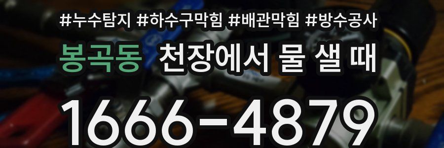 봉곡동 천장에서 물 샐 때