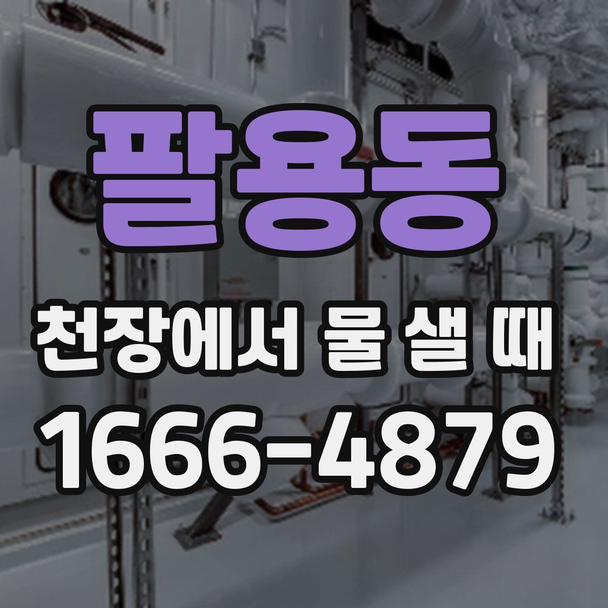 팔용동 천장에서 물 샐 때