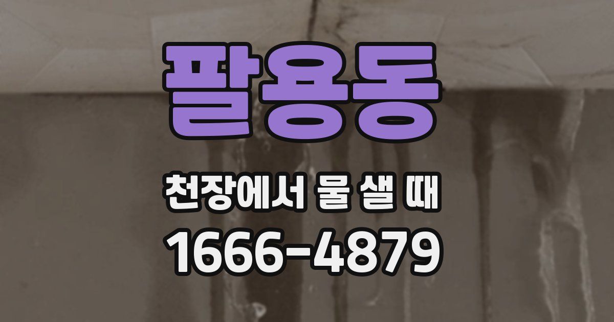 팔용동 천장에서 물 샐 때