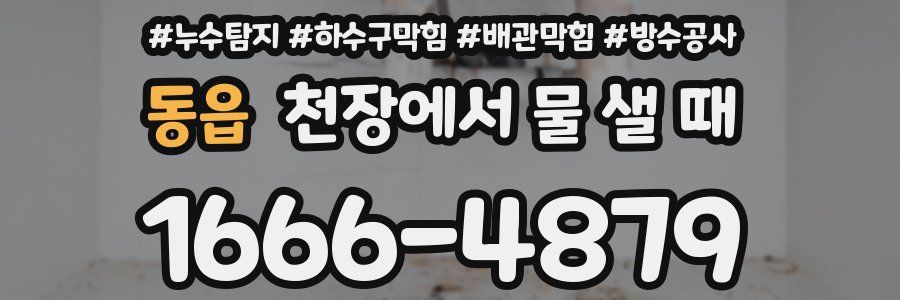 동읍 천장에서 물 샐 때
