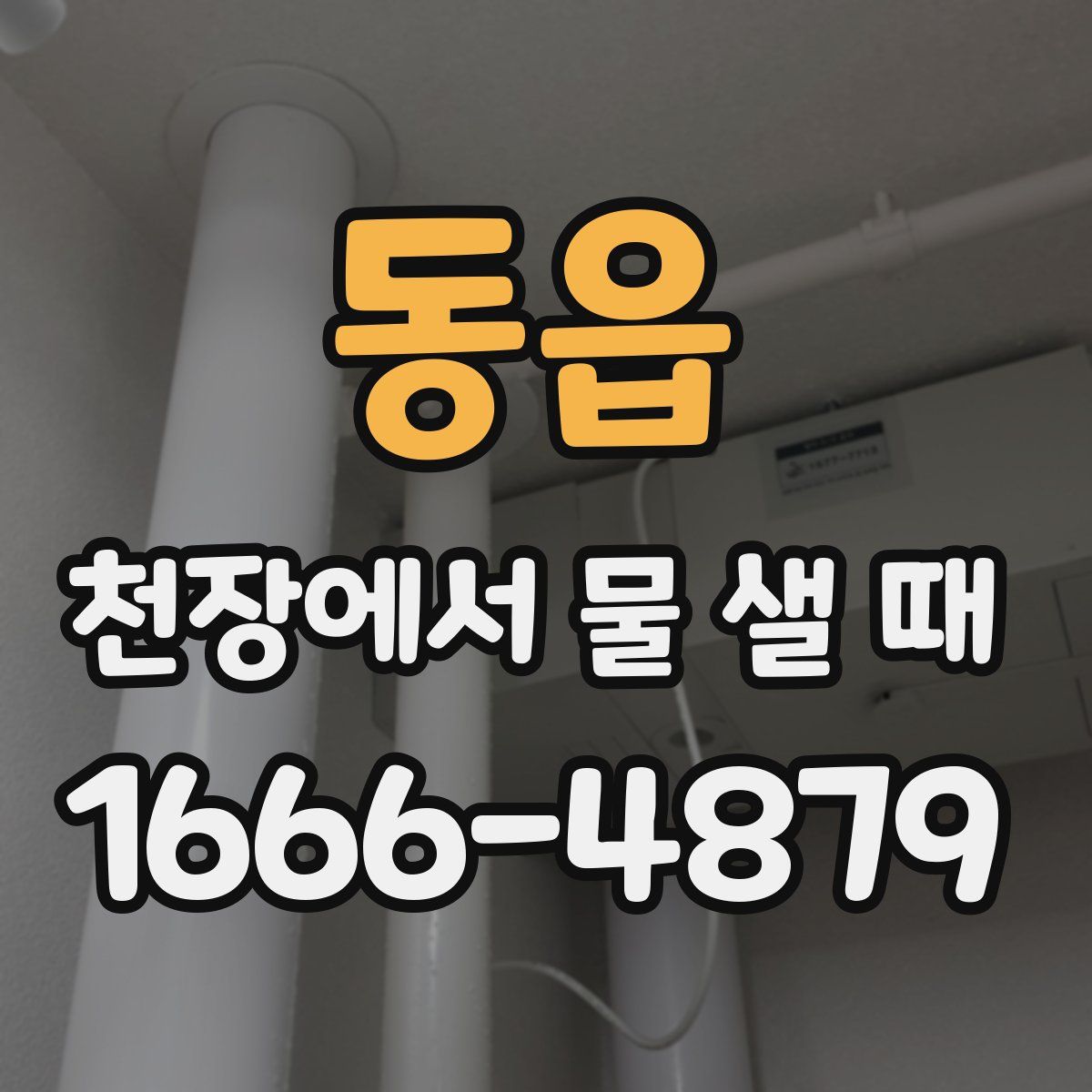 동읍 천장에서 물 샐 때