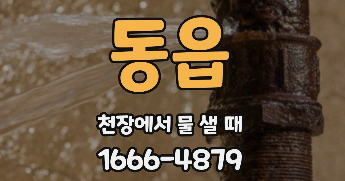 동읍 천장에서 물 샐 때