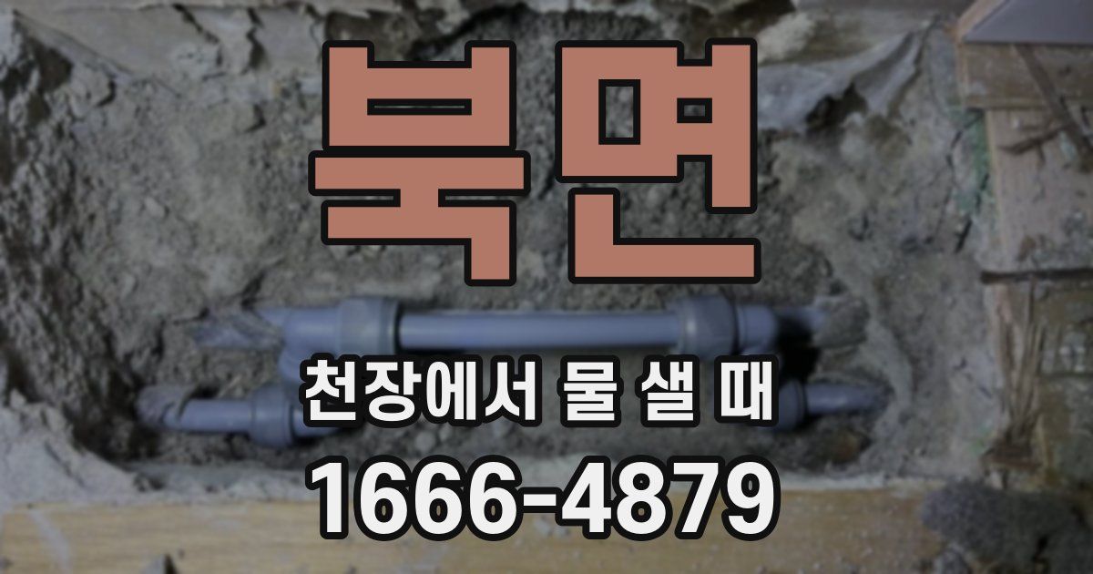 북면 천장에서 물 샐 때