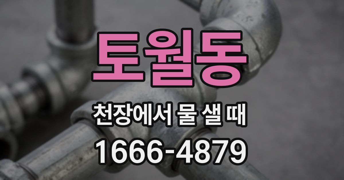 토월동 천장에서 물 샐 때