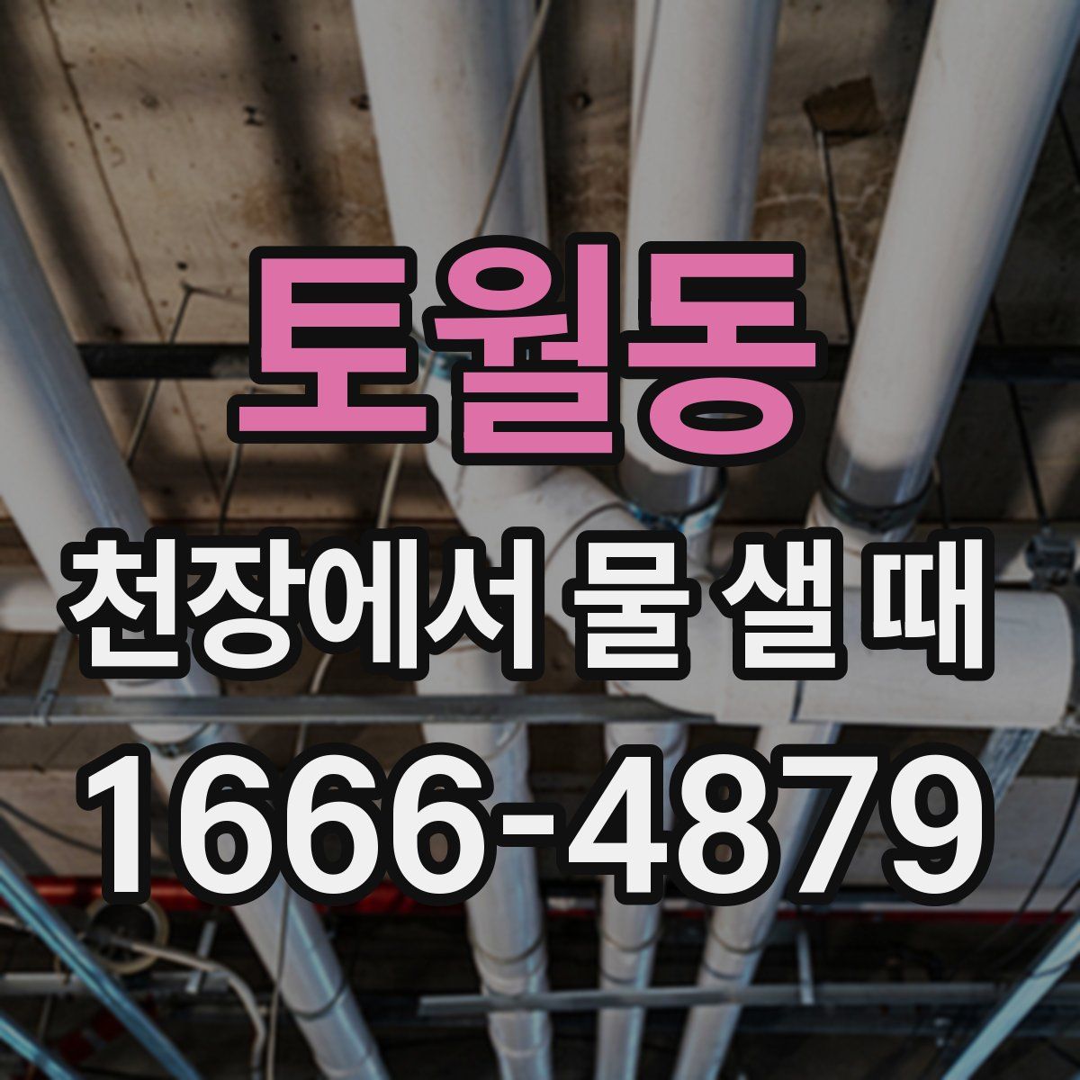 토월동 천장에서 물 샐 때