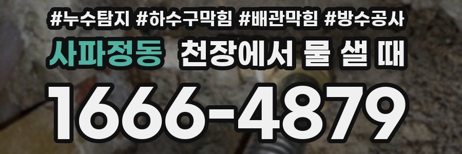사파정동 천장에서 물 샐 때