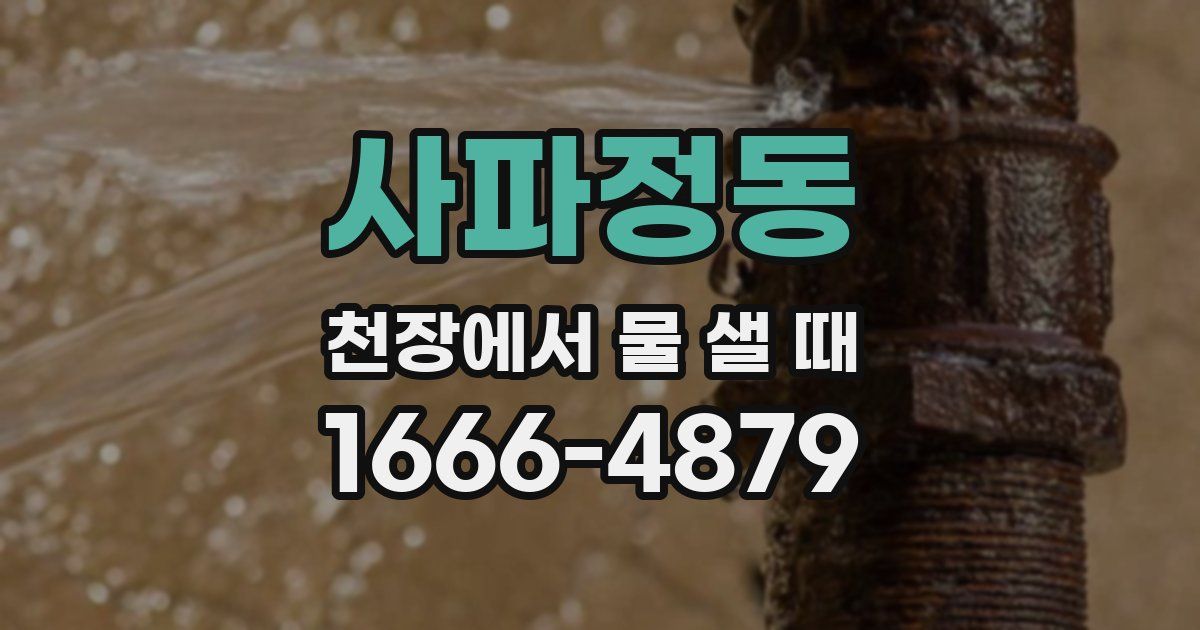 사파정동 천장에서 물 샐 때