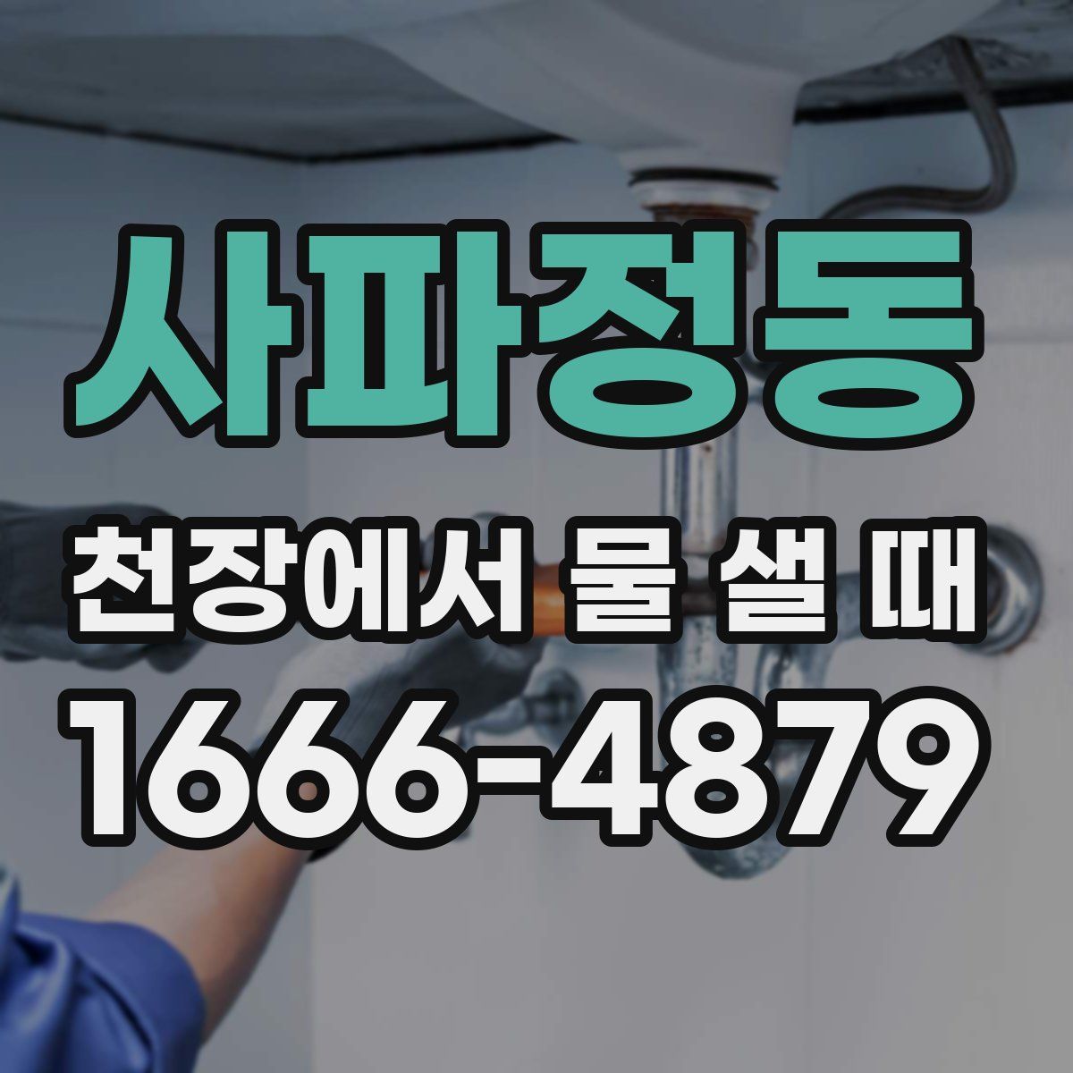 사파정동 천장에서 물 샐 때