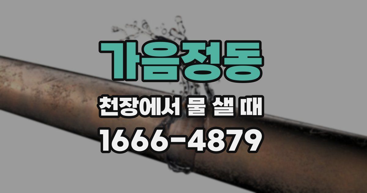 가음정동 천장에서 물 샐 때