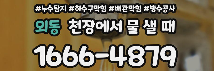 외동 천장에서 물 샐 때