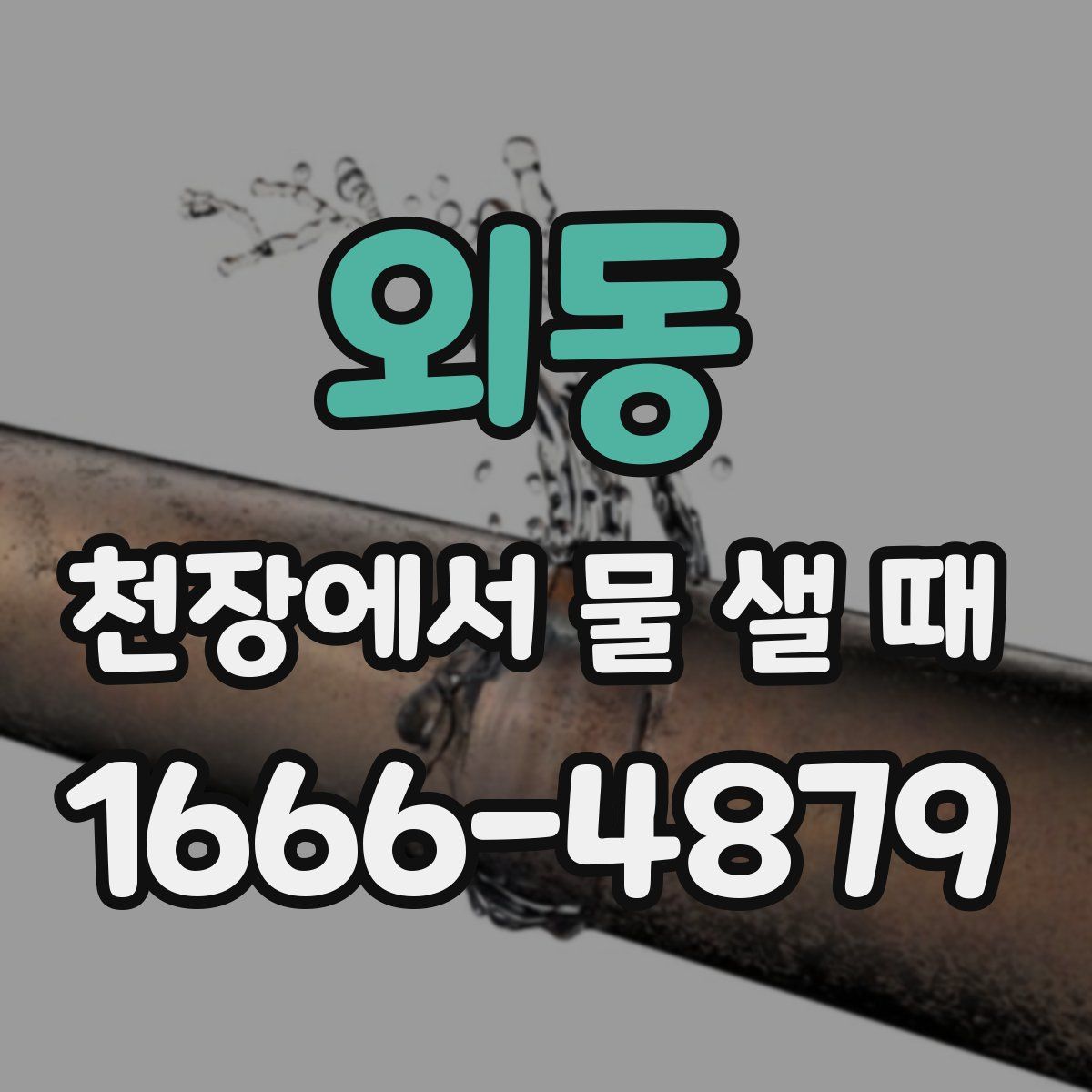 외동 천장에서 물 샐 때