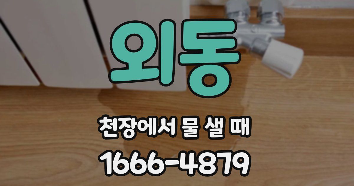 외동 천장에서 물 샐 때