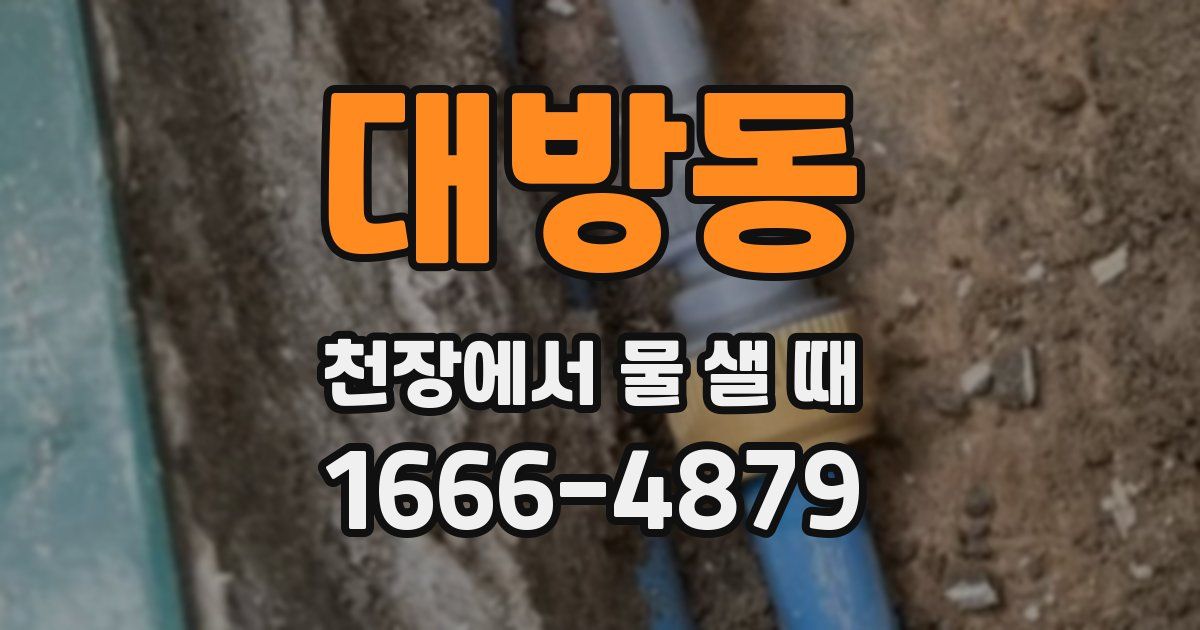 대방동 천장에서 물 샐 때