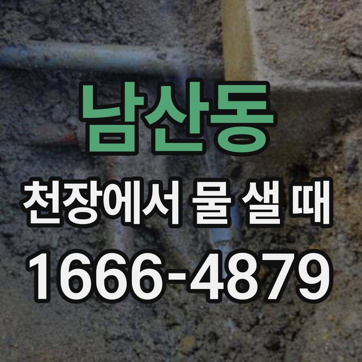 남산동 천장에서 물 샐 때
