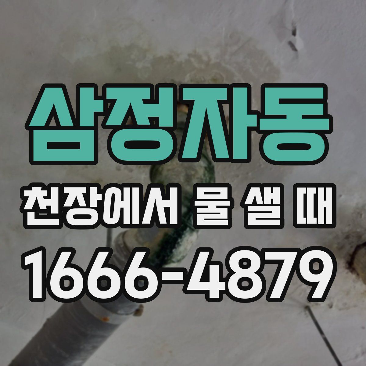 삼정자동 천장에서 물 샐 때