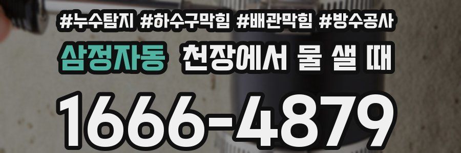 삼정자동 천장에서 물 샐 때
