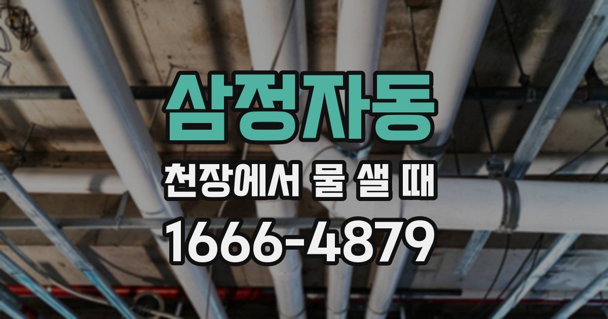 삼정자동 천장에서 물 샐 때