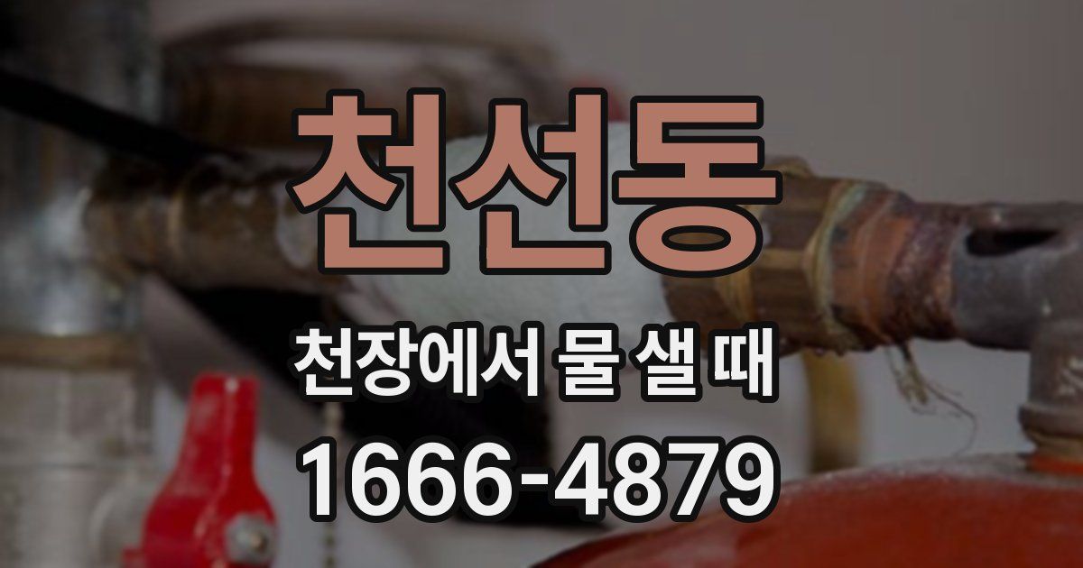 천선동 천장에서 물 샐 때