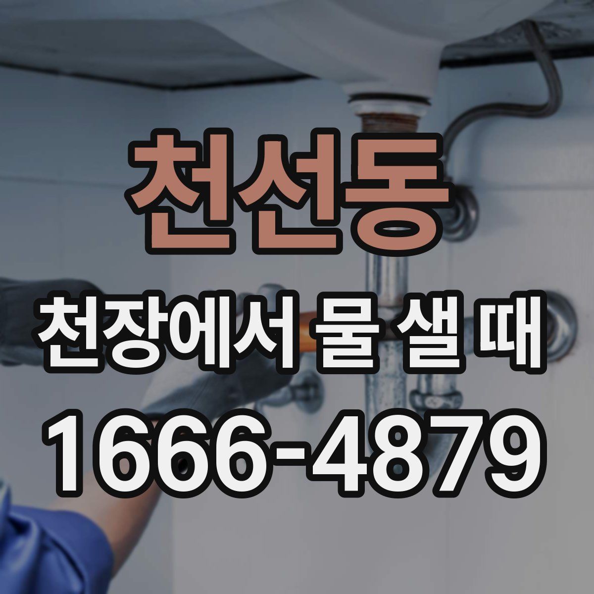 천선동 천장에서 물 샐 때