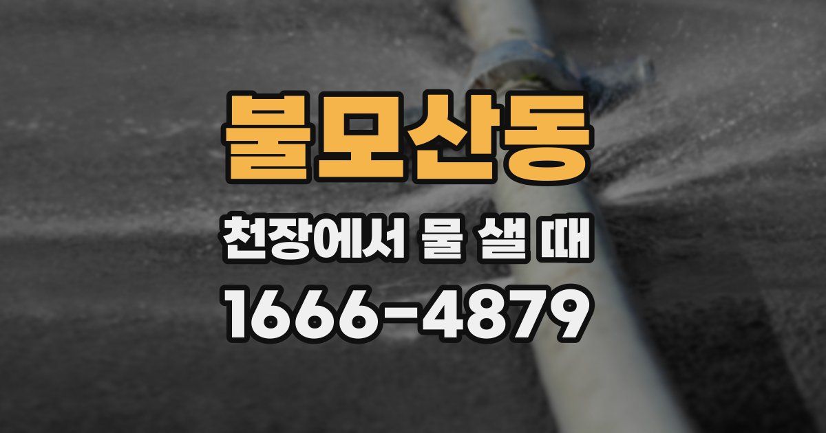 불모산동 천장에서 물 샐 때