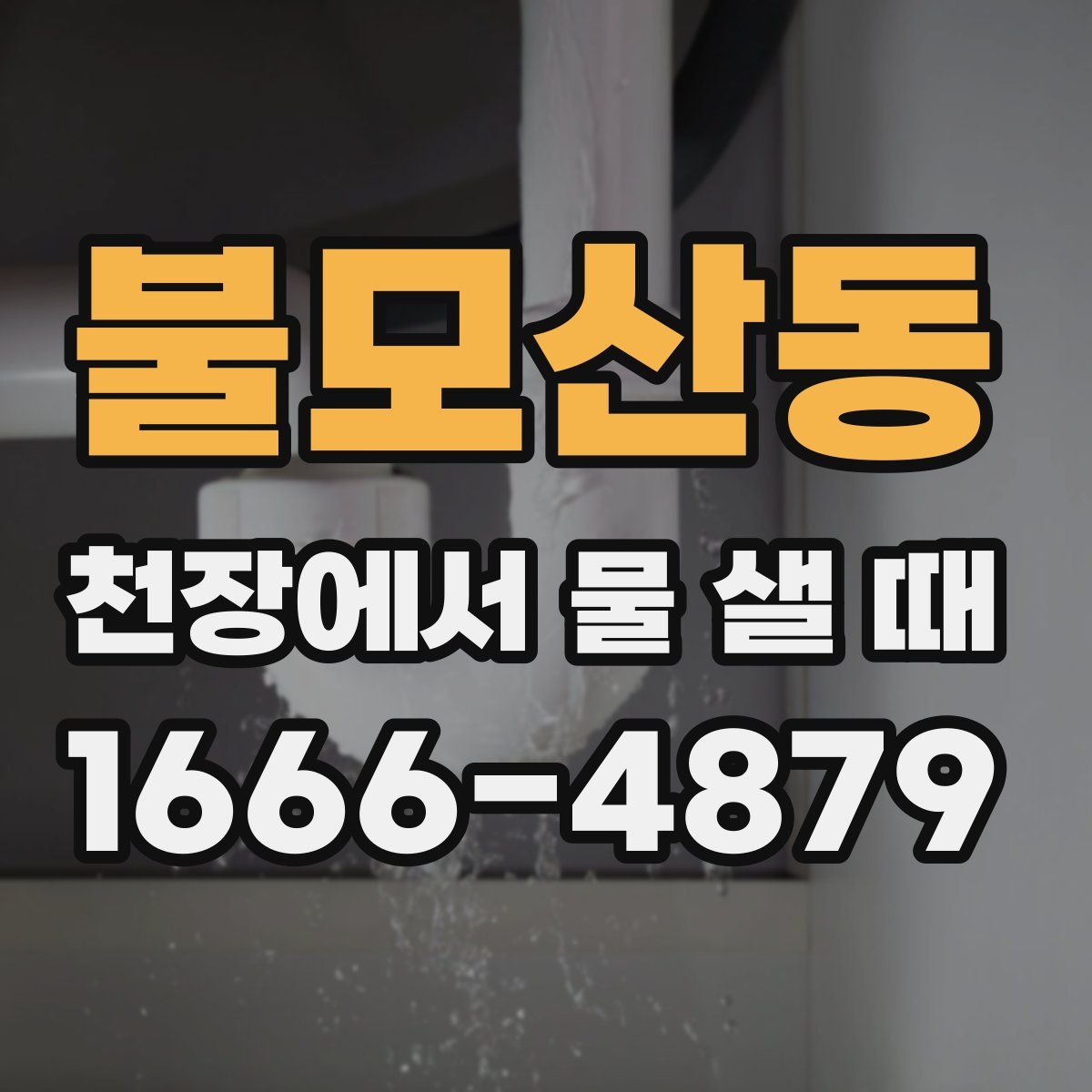 불모산동 천장에서 물 샐 때