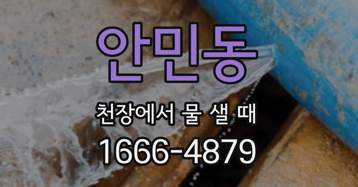 안민동 천장에서 물 샐 때