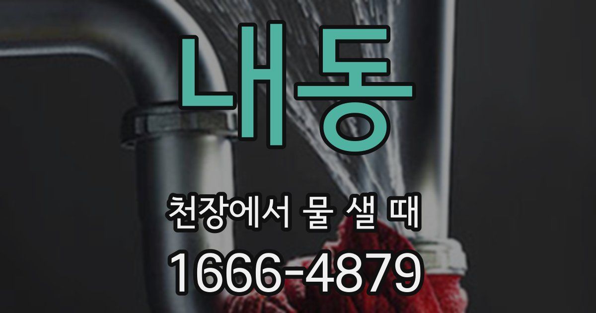 내동 천장에서 물 샐 때