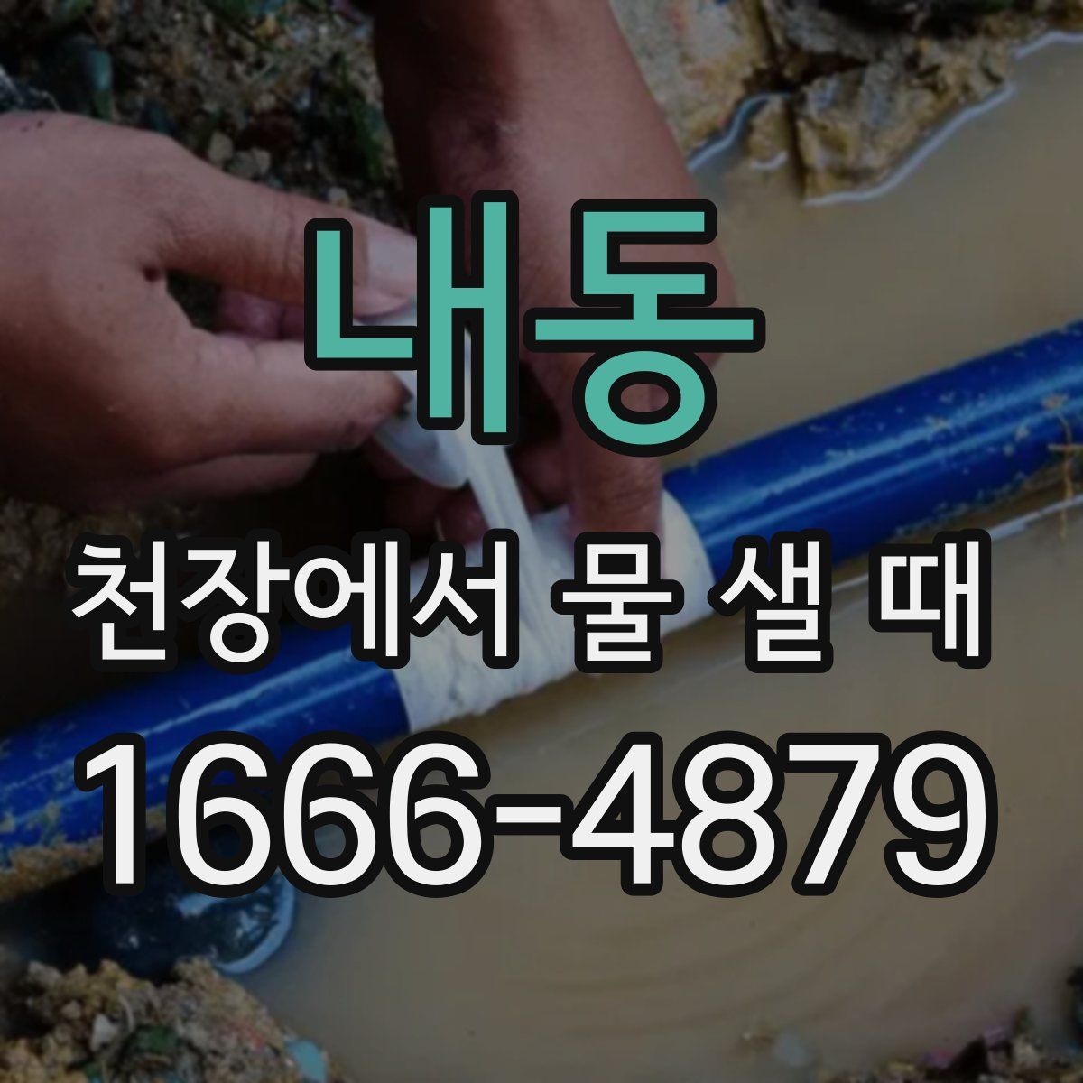 내동 천장에서 물 샐 때