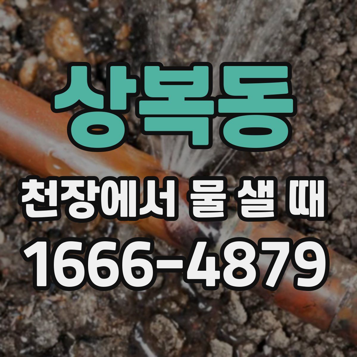 상복동 천장에서 물 샐 때