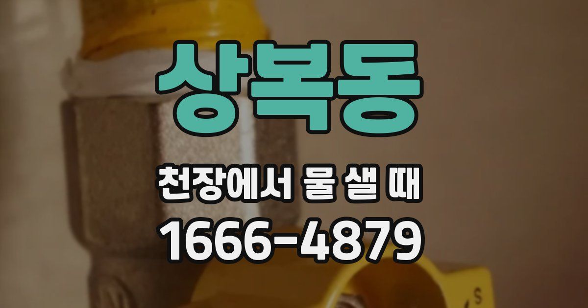 상복동 천장에서 물 샐 때