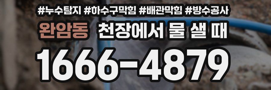 완암동 천장에서 물 샐 때