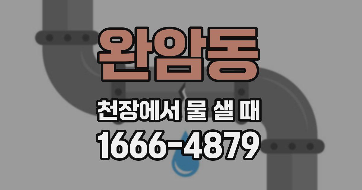 완암동 천장에서 물 샐 때