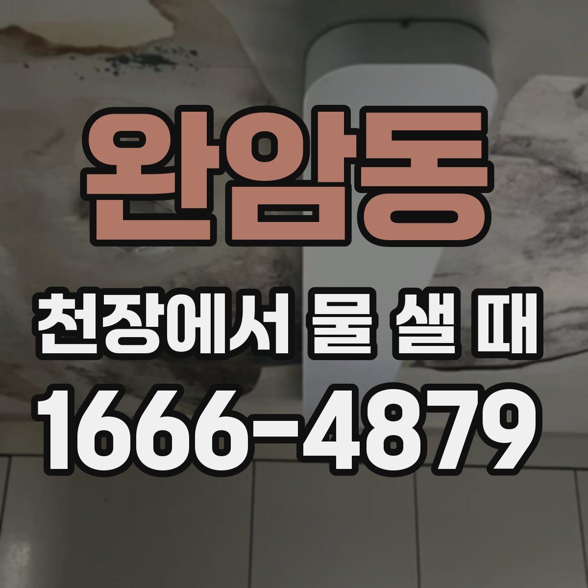 완암동 천장에서 물 샐 때