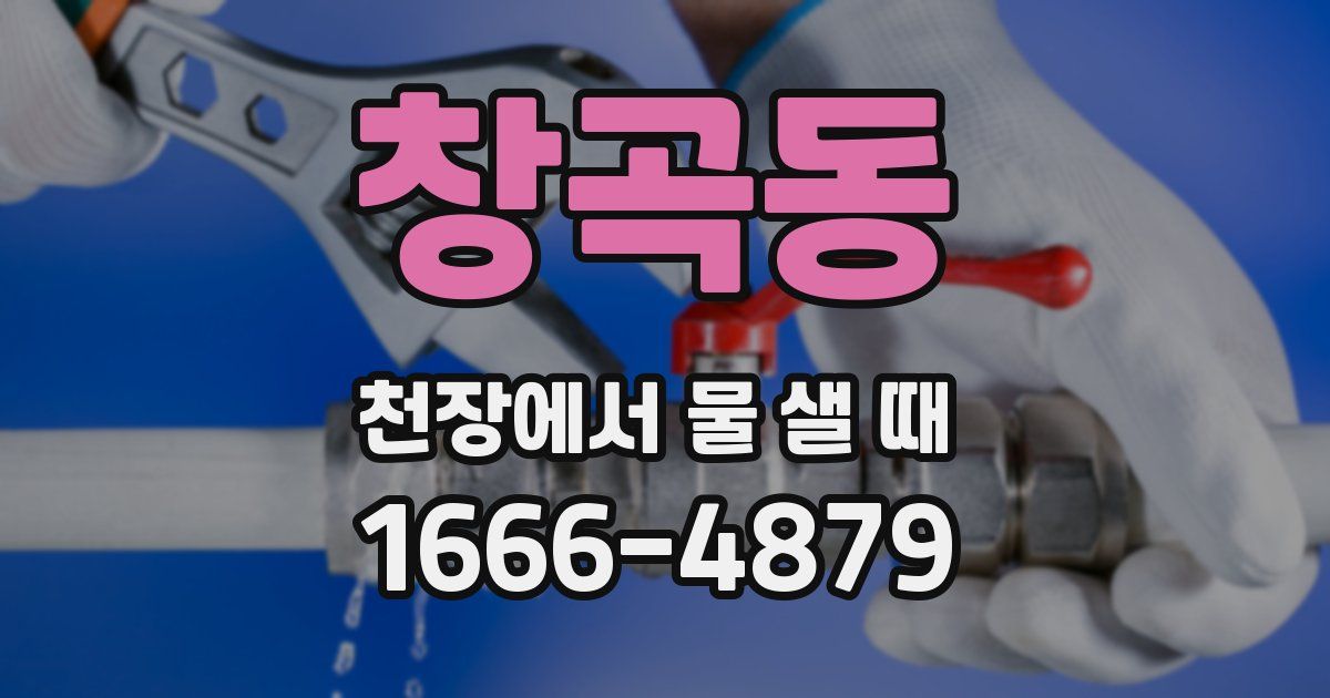 창곡동 천장에서 물 샐 때