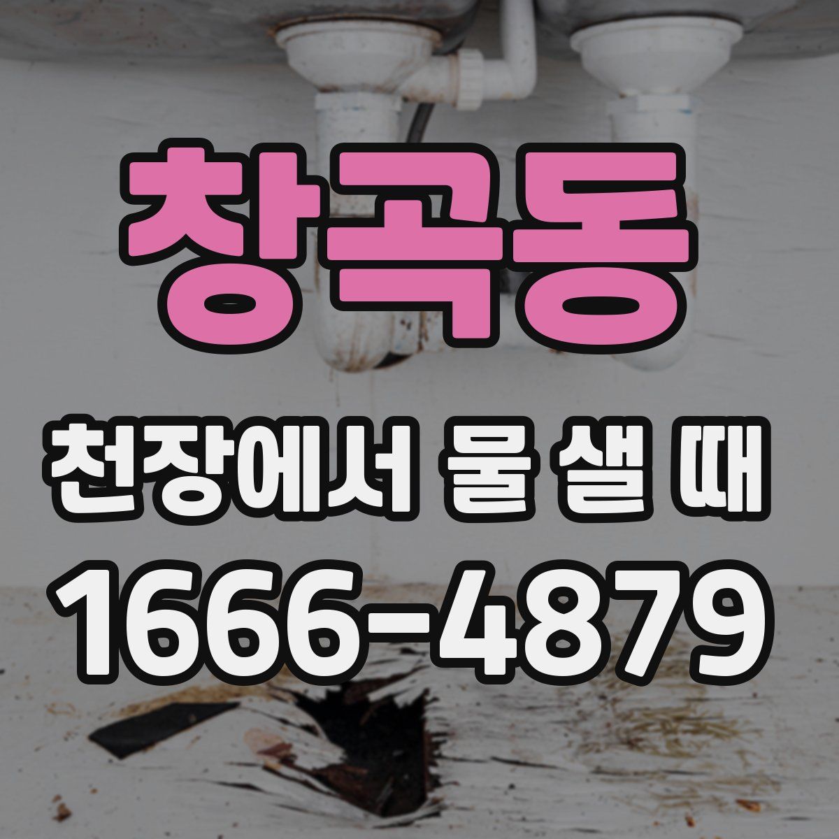 창곡동 천장에서 물 샐 때